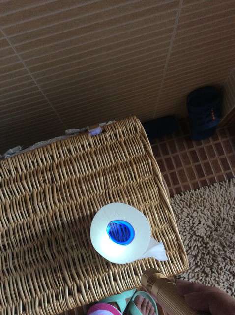  寶媽買了紫光手電，衣服上好多熒光劑，看的心慌害怕