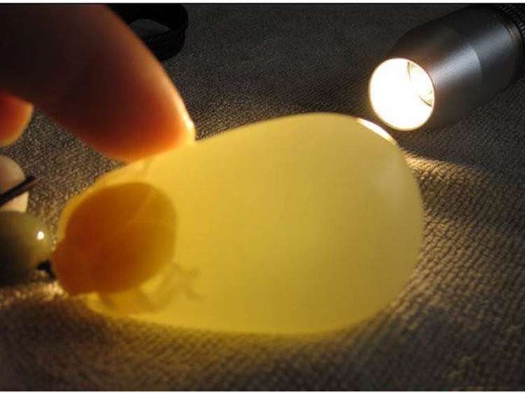 玉石用照玉手電筒白光和放大鏡看的是什么？